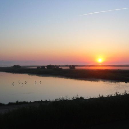 Chambre Les Flamants, Avec Vue Imprenable Sur Les Etangs, Les Oiseaux, La Nature, Petit Dejeuner Compris Saintes-Maries-de-la-Mer Exterior photo