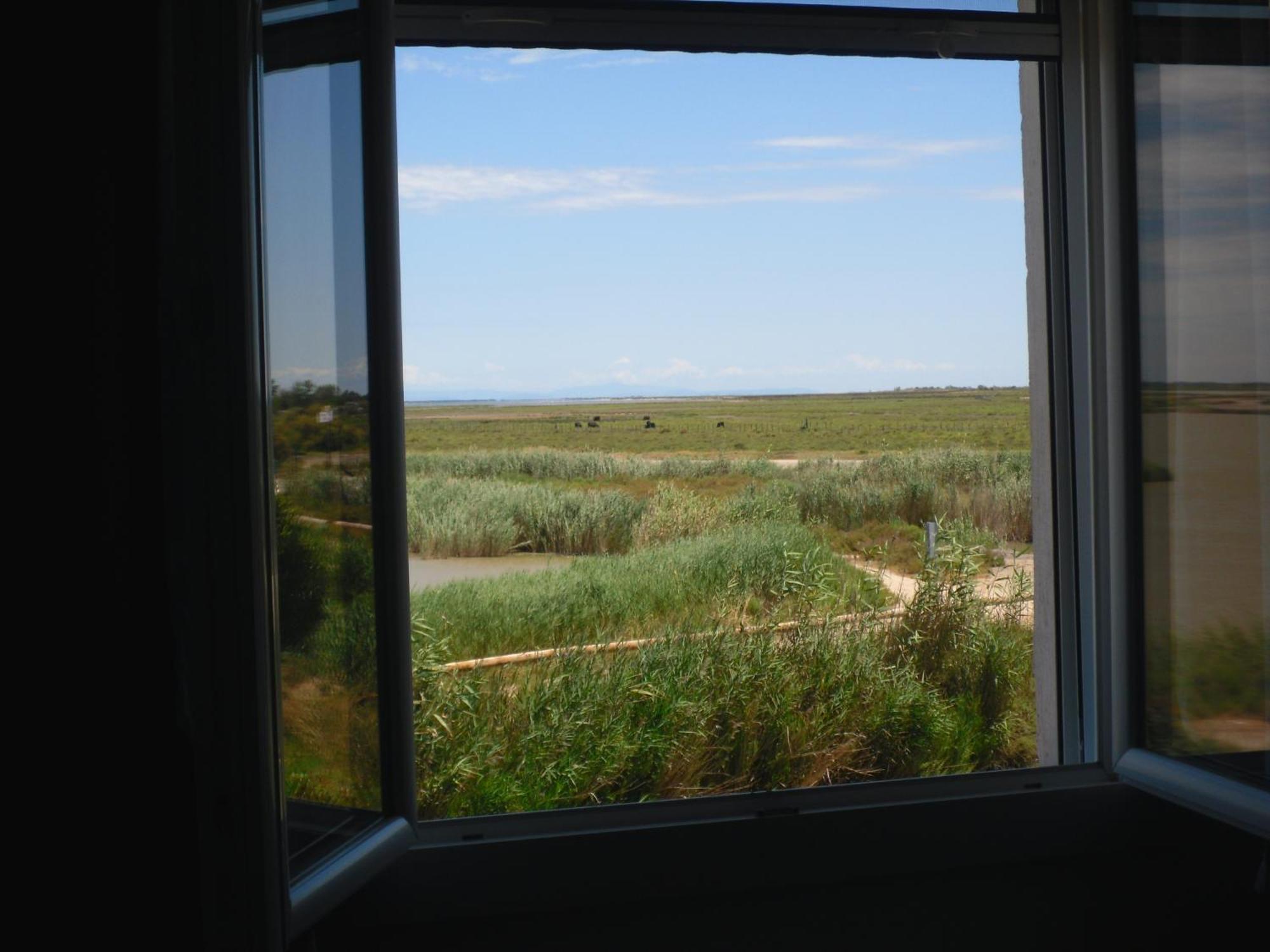 Chambre Les Flamants, Avec Vue Imprenable Sur Les Etangs, Les Oiseaux, La Nature, Petit Dejeuner Compris Saintes-Maries-de-la-Mer Exterior photo